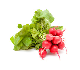 bunch of radish