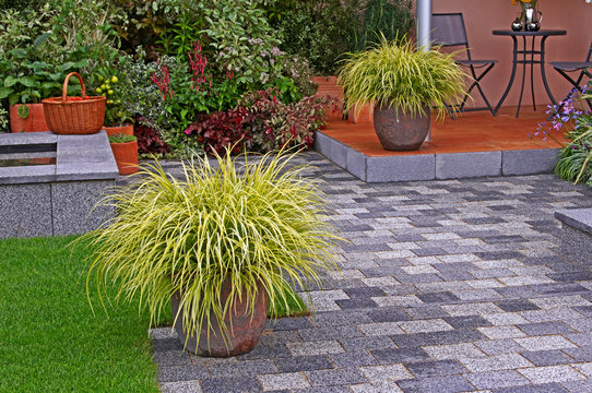 Containers of Carex grasses on a patio in a contemporary garden design