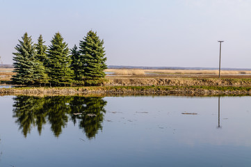 Biebrza Valley (Poland). Small pond in Goniadz town at dusk