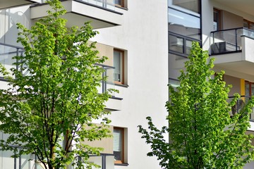 Ornamental shrubs and plants near a residential city house