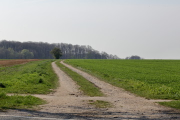road in the field