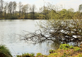 Frühling am Borner See