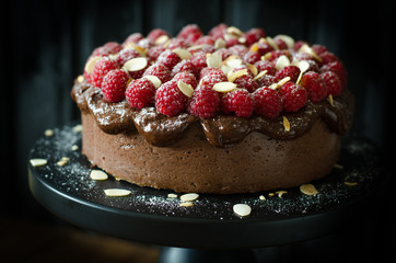 Chocolate Cheesecake with Chocolate Sauce and Raspberries