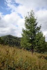Mountain landscape in the vicinity of the taiga village Generalka Altai territory in Western Siberia