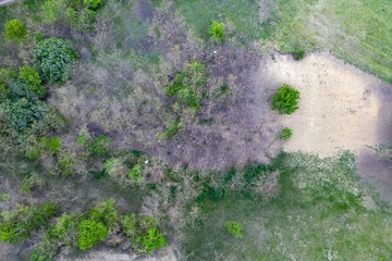Spring fields top view.
