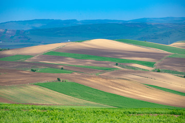 Obraz premium Colorful spring fields