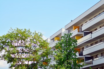 Ornamental shrubs and plants near a residential city house