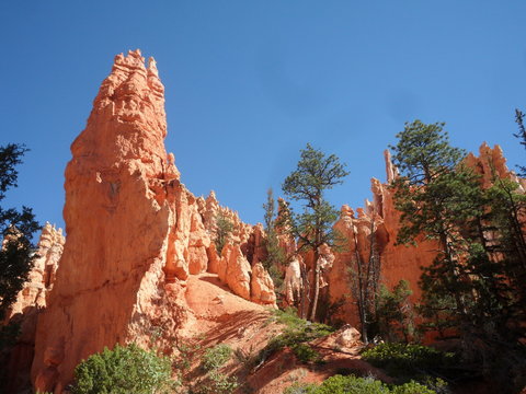 The orange hoodoo towers of Bryce Canyon, Arizona