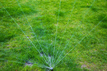 Sprinkler watering the grass in the park