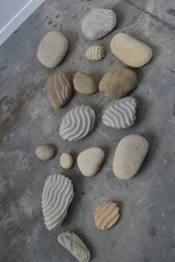 Fototapeta na wymiar sea shells on the beach