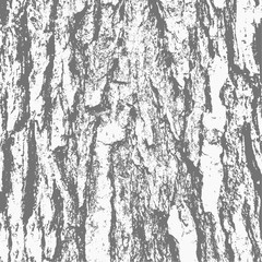 Wood tree bark texture grunge overlay natural material for backgrounds, design, decoration.