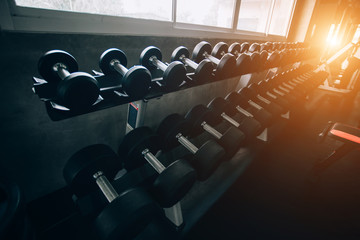 Rows of dumbbells in the gym