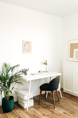 Fototapeta na wymiar Modern minimal Scandinavian nordic interior design concept. Home office workspace with table, chair, palm.