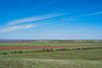 Fototapeta na wymiar Beautiful picturesque spring landscape with green steppe
