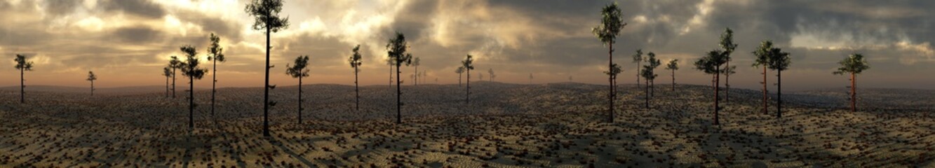 Panorama of rocky desert with lonely trees, stormy sky over stones