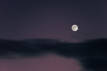 Naklejka na ściany i meble Huge full moon on the night sky.