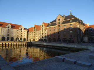 Naklejka premium København