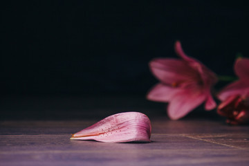 bouquet of pink lily flowers in the rays of light on a black background on a wooden rustic table....