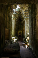 Inside the ruins of the Ta Prohm temple, Angkor Wat, Siem Reap, Cambodia