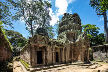 Obraz premium Inside the beautiful Ta Prohm temple, Siem Reap, Cambodia