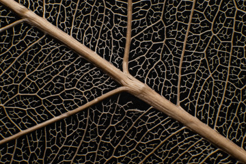 abstract,antique,background,decorative,design,dirty,grunge,old,pattern,rough,surface,texture,textured,vintage,wall,wallpaper