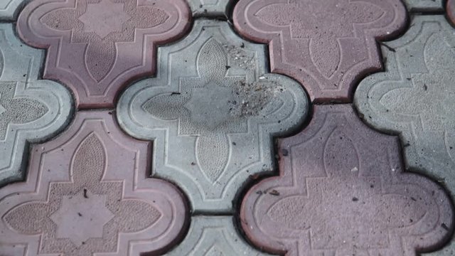 Pavement made of stone. Beautiful garden walkway background