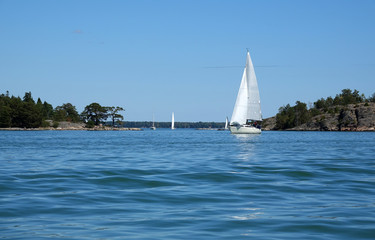 Obraz premium Schärenküste bei Stockholm