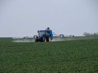 Fototapeta premium A blue tractor sprays pesticides on a green field. Blue tractor on field. 