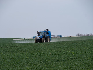 Fototapeta premium A blue tractor sprays pesticides on a green field. Blue tractor on field. 