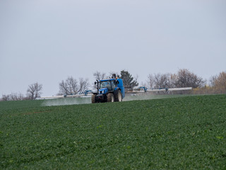 Fototapeta premium A blue tractor sprays pesticides on a green field. Blue tractor on field. 
