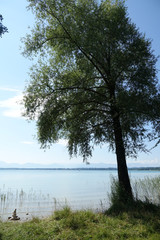 Ufer des Starnberger Sees bei Bernried
