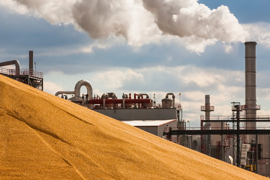 Unloading The Corn Harvest At The Glacial Lakes Energy Ethanol Plant Near Mina; South Dakota, United States Of America