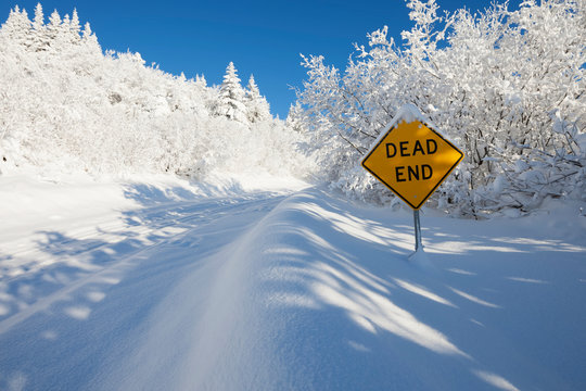 A Road And Trees Covered With Deep Snow And A Yellow Sign Saying Dead End; Alaska, United States Of America
