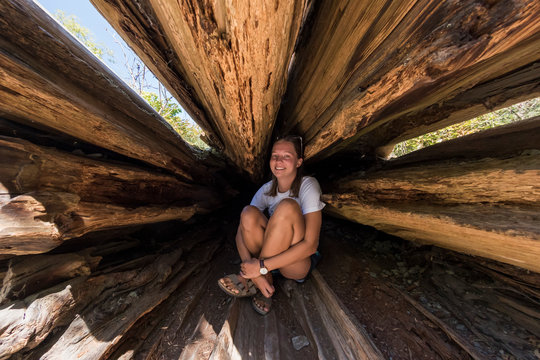 A young woman sits inside a hallowed tree trunk in Goldstream Provincial Park, Vancouver Island; British Columbia, Canada