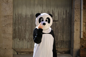 panda halloween