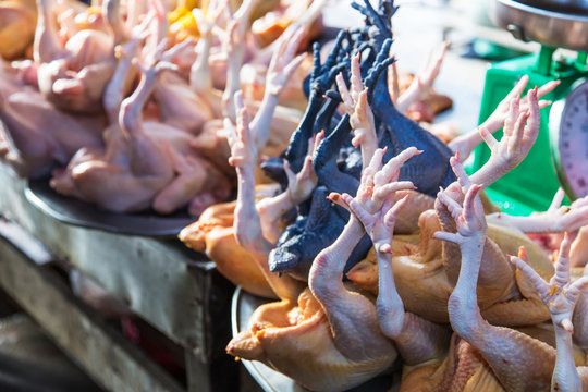 Close-up of raw whole chickens with feet for sale in a market; Sa Pa, Vietnam