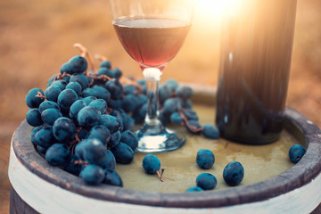 Red wine with fresh grapes in nature.
