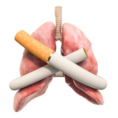 Lungs disease from smoking, concept. Cigarette tied in a knot around human lungs. 3D rendering