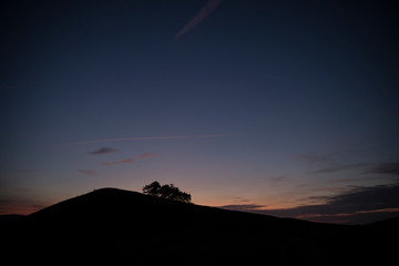Kleines Wäldchen bei Sonnenuntergang
