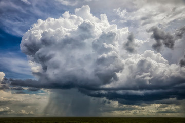 Dramatic clouds building up over the plains of Africa; Ndutu, Tanzania