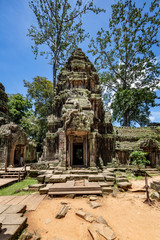 Naklejka premium Huge strangler fig trees growwing inside the beautiful Ta Prohm temple, Siem Reap, Cambodia
