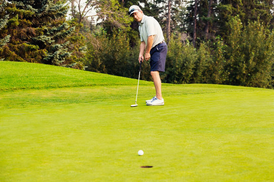 A mature male golfer skillfully putts a golf ball into a hole on a golf course; Edmonton, Alberta, Canada