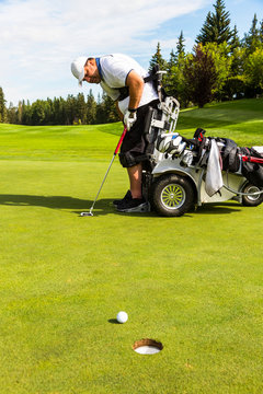 A physically disabled golfer putting a ball on a golf green and using a specialized golf assistance motorized hydraulic wheelchair; Edmonton, Alberta, Canada