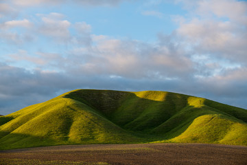 Beautiful grassy green hill and freshly plowed field at sunset in spring near Paso Robles, California - obrazy, fototapety, plakaty