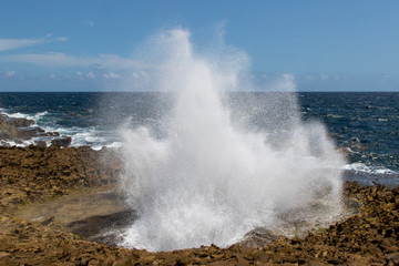 Sea water erupting from the blow hole