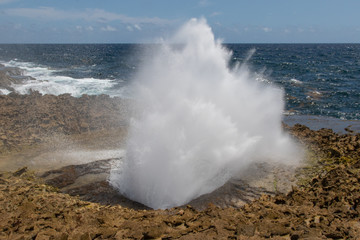 Sea water erupting from the blow hole