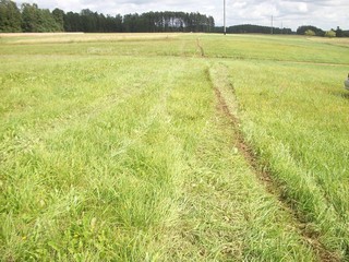 in the field trodden road