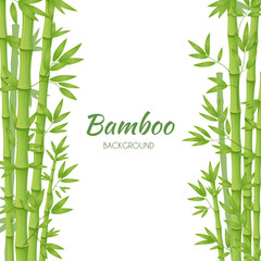 Fototapeta na wymiar Green bamboo stems with green leaves on a white background. Vector illustration.