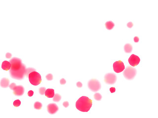 Pink rose petals falling vector valentine background.
