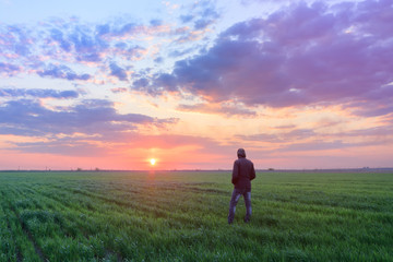 people wheat field sunset / landscape spring field agriculture of Ukraine